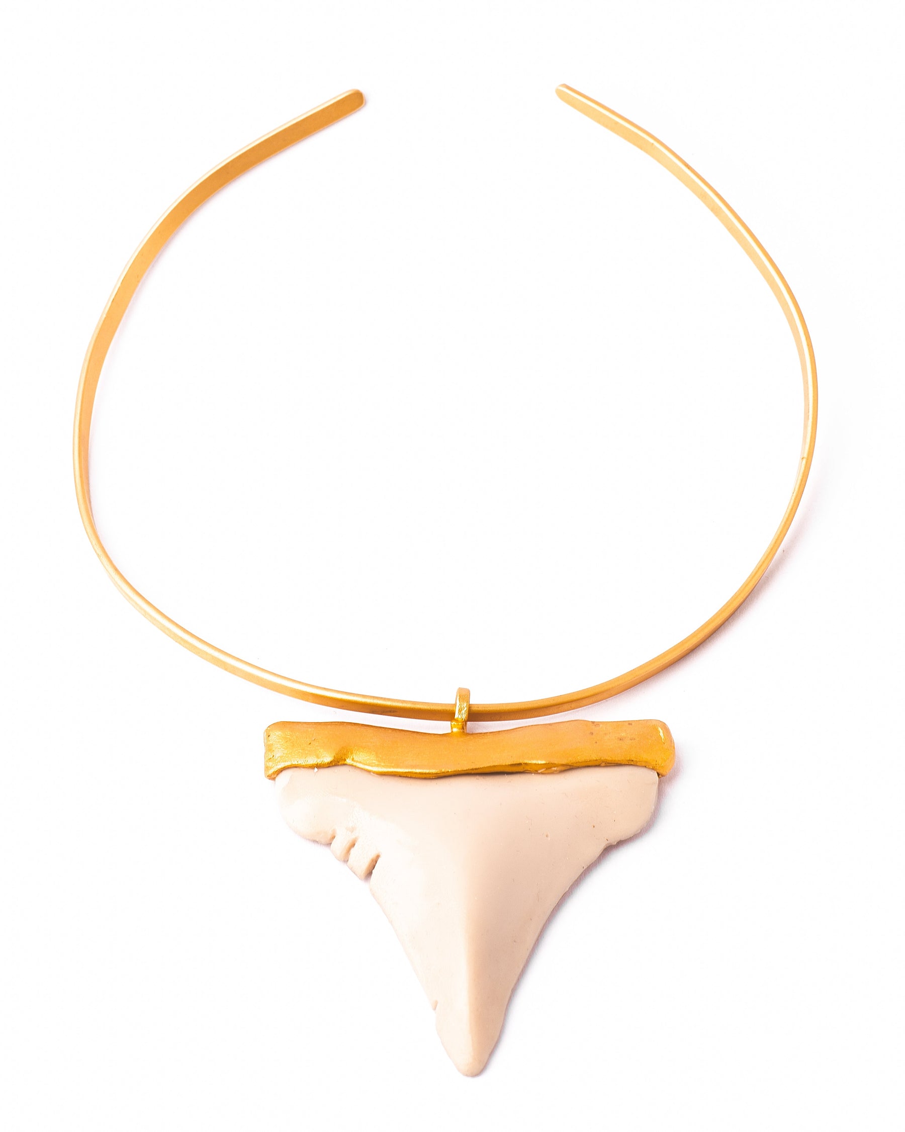 Collar Shark