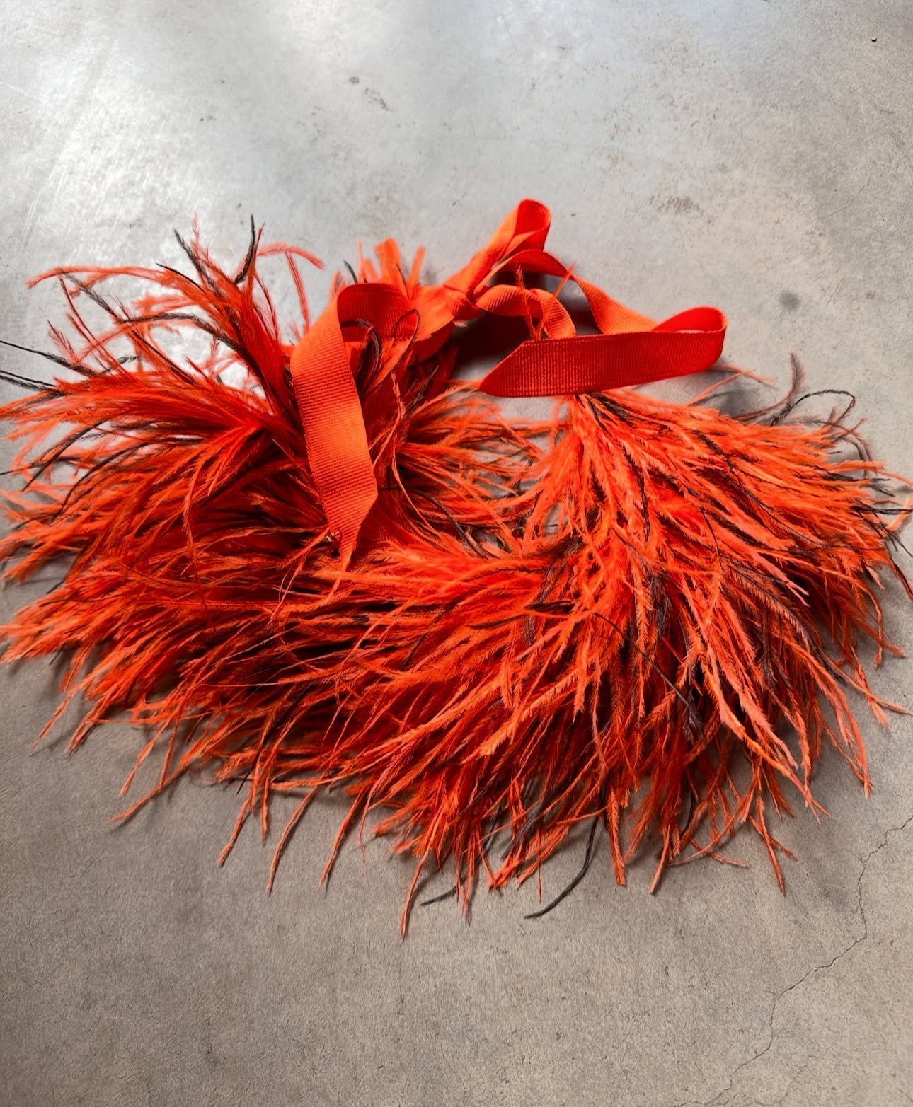 Collar Plumas