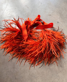 Collar Plumas