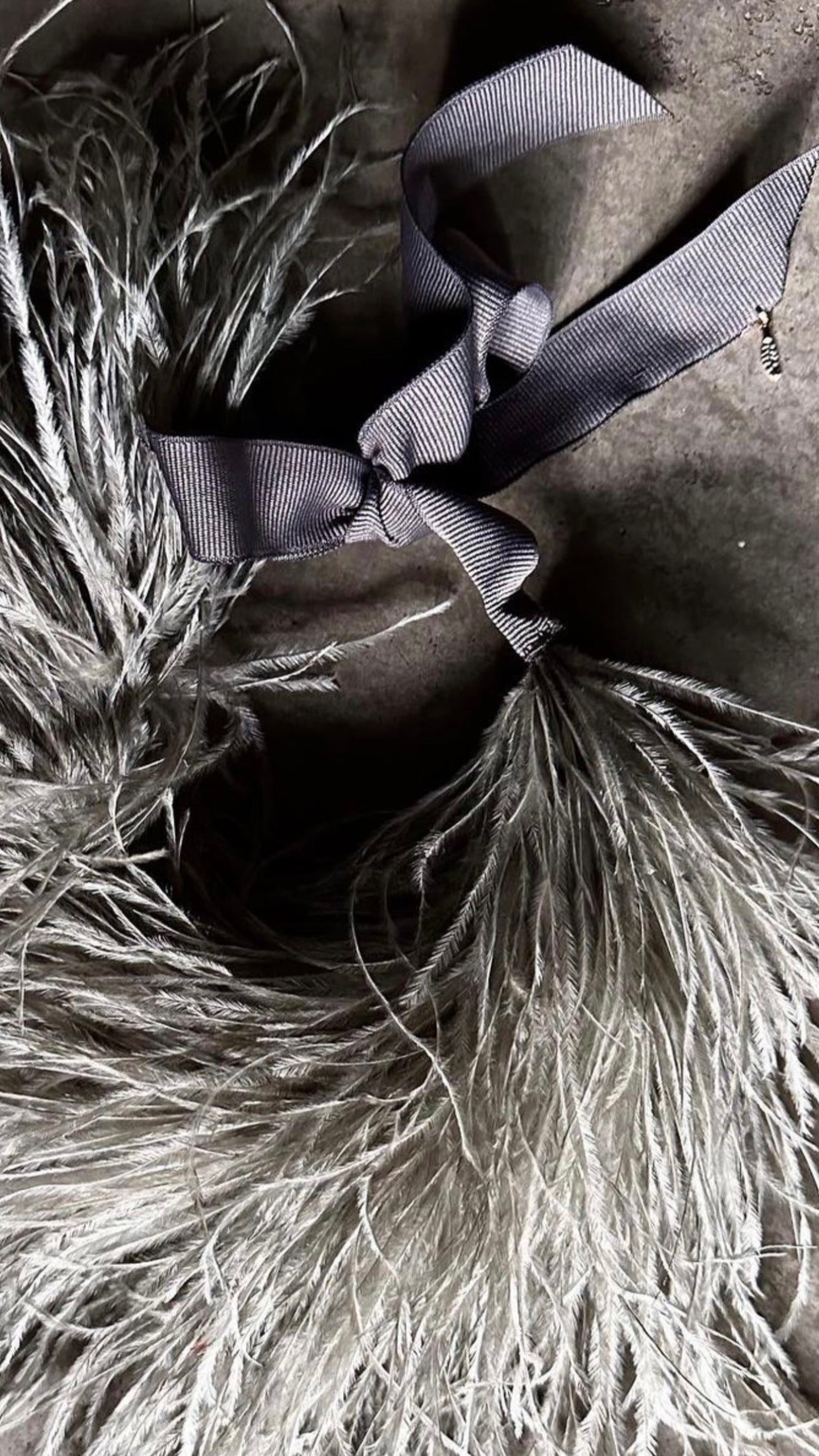 Collar Plumas